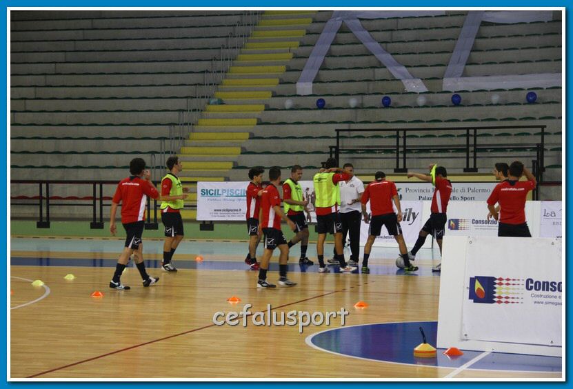 121117 canicat 001_tn.jpg